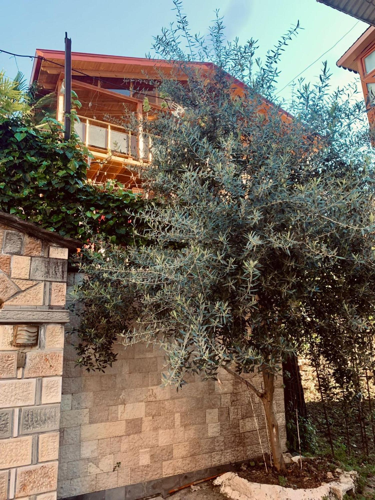 Alimeti Guesthouse 베라트 외부 사진