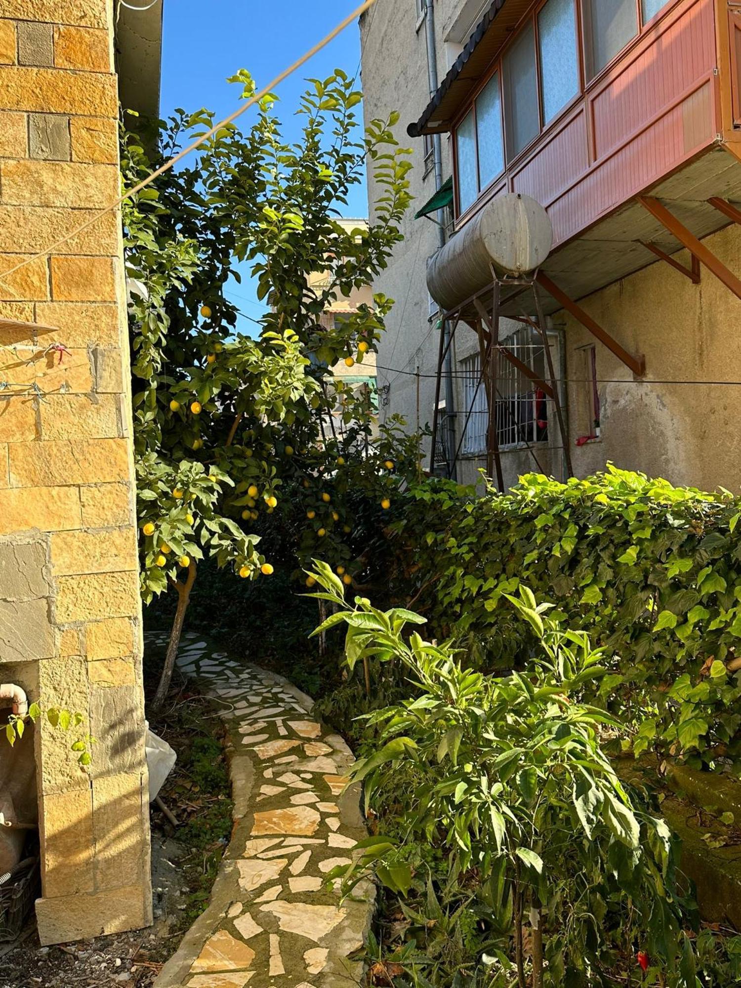 Alimeti Guesthouse 베라트 외부 사진